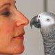 Alex the African gray parrot and animal psychologist Irene Pepperberg back in 1991.